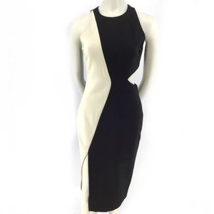 Elizabeth & James Lunai Colorblock Dress